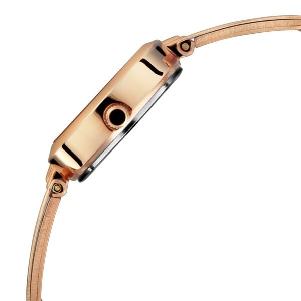 Titan Quartz Analog Silver Dial Rose Gold Metal Strap Watch For Women NT2598WM01