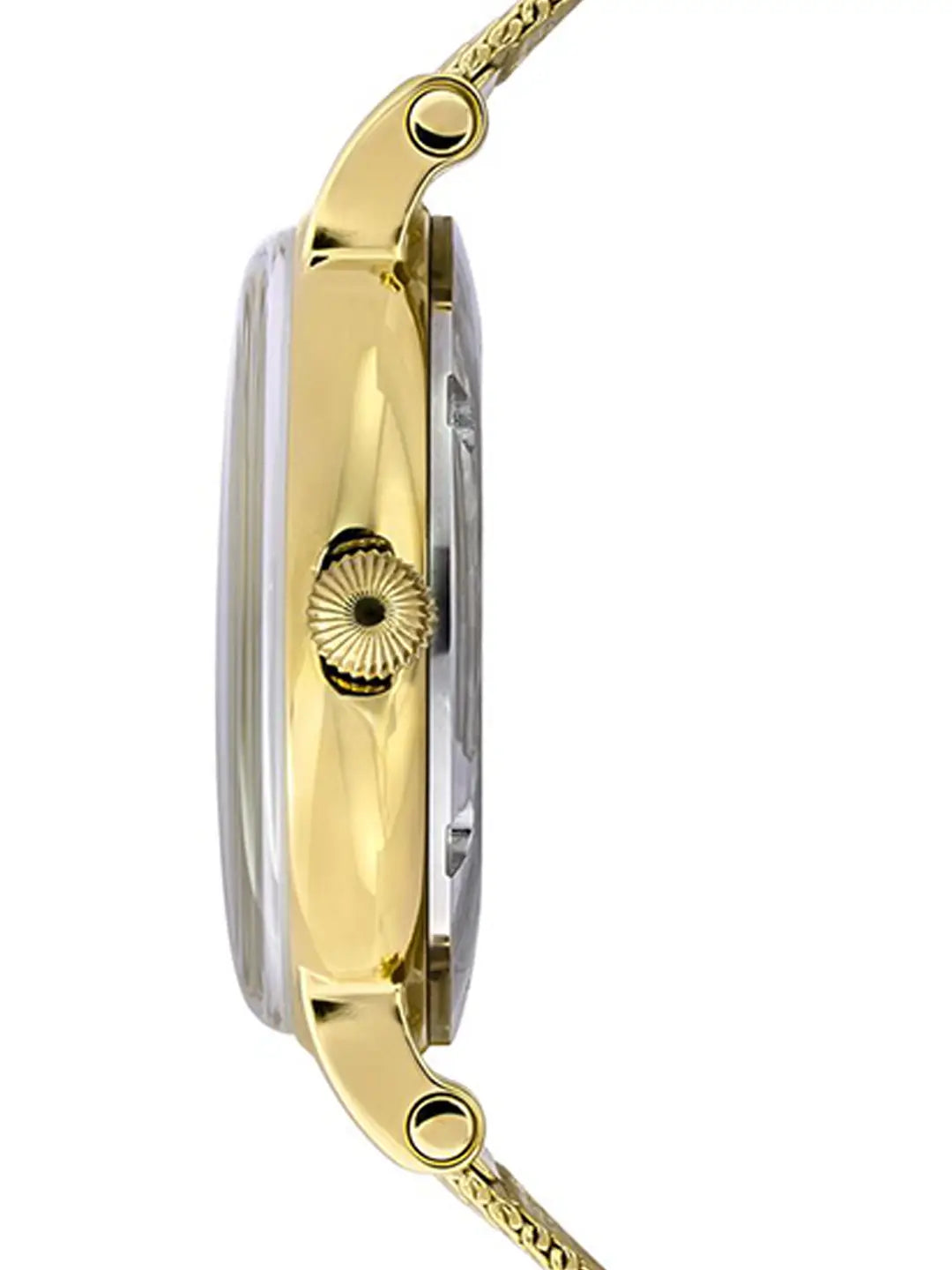 Timex Men Skeleton Dial & Bracelet Style
Straps Analogue Automatic Motion
Powered Watch